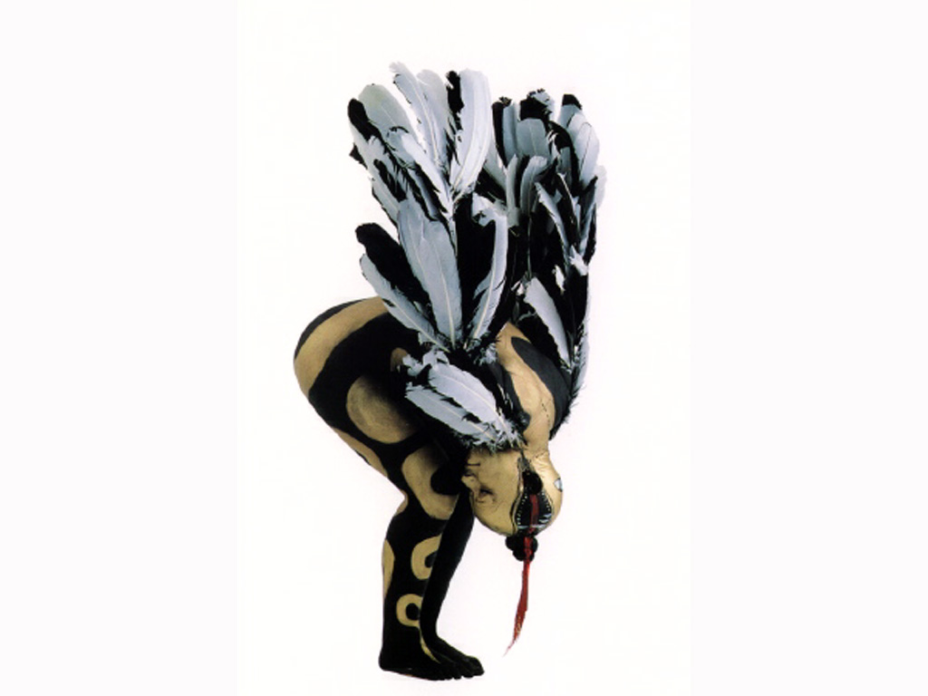 BOD_0065