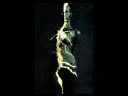 Bod_0001
