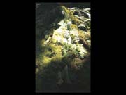 Bod_0018