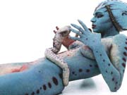 Bod_0061