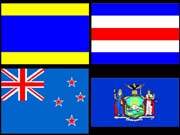 NFLAG_1