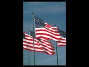 FLAGS