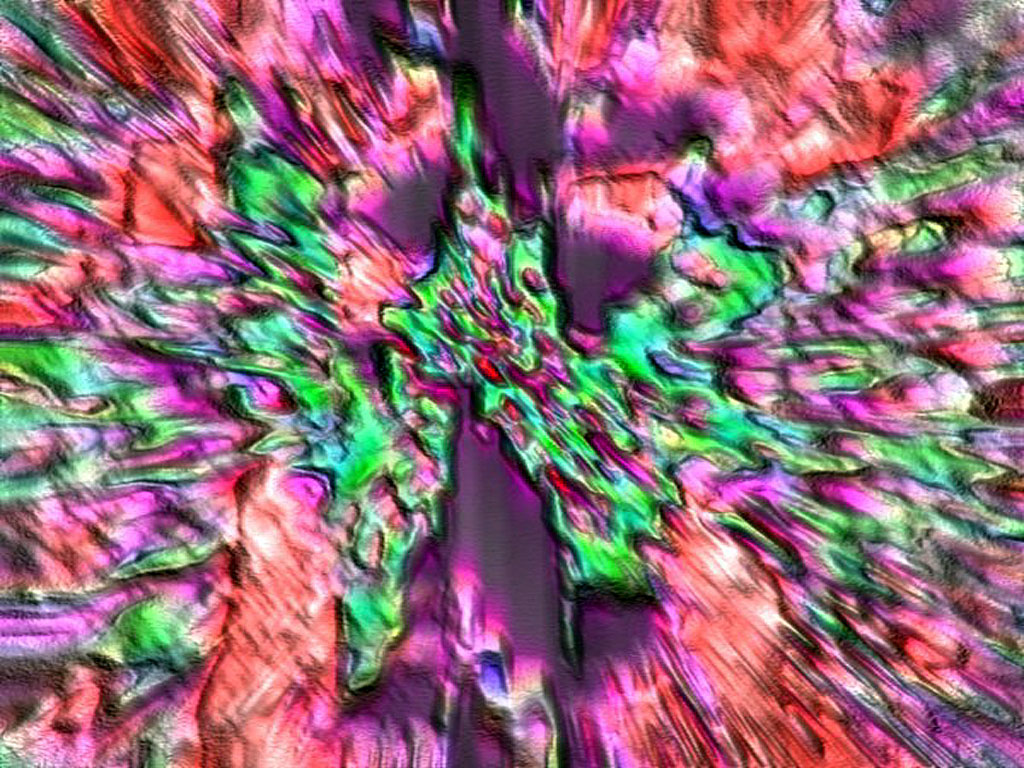 BRAINS