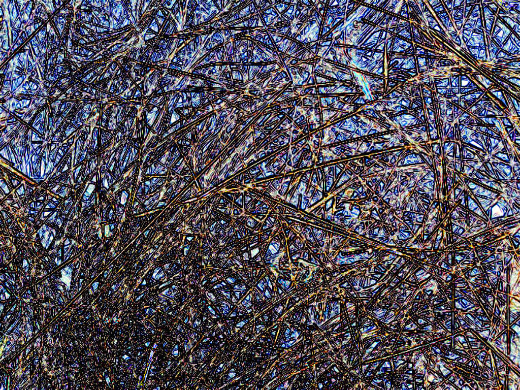 EFFECT04