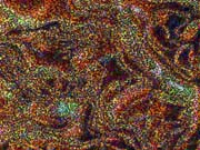 CRINKL01