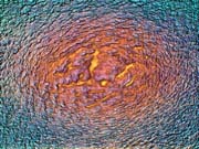 DRYLAVA