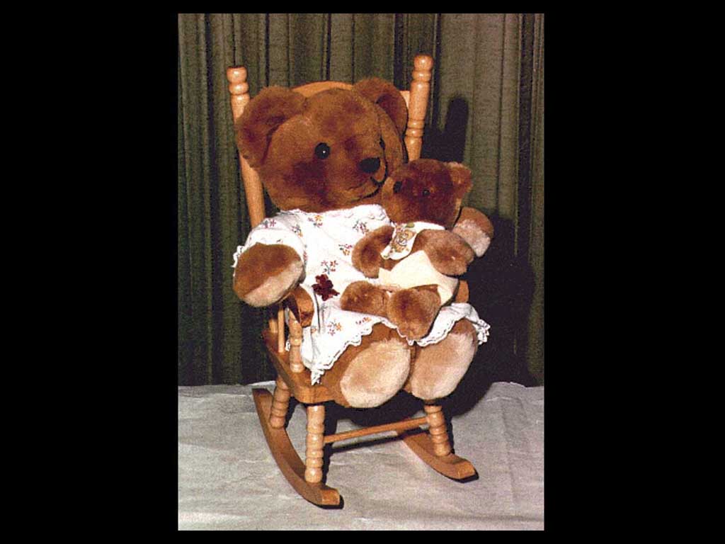 Bear3