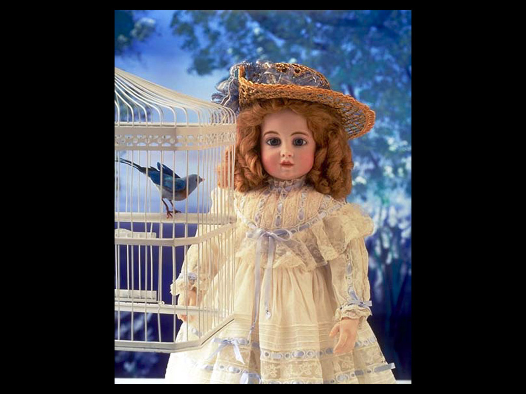 Birdcage