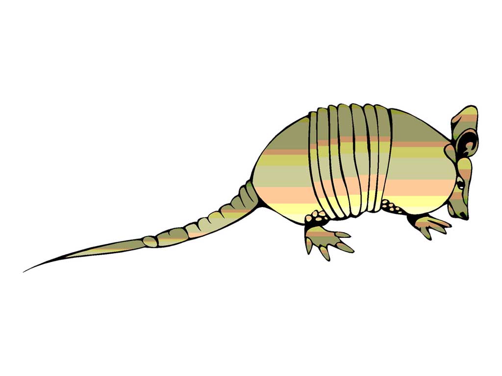 ARMADLO1