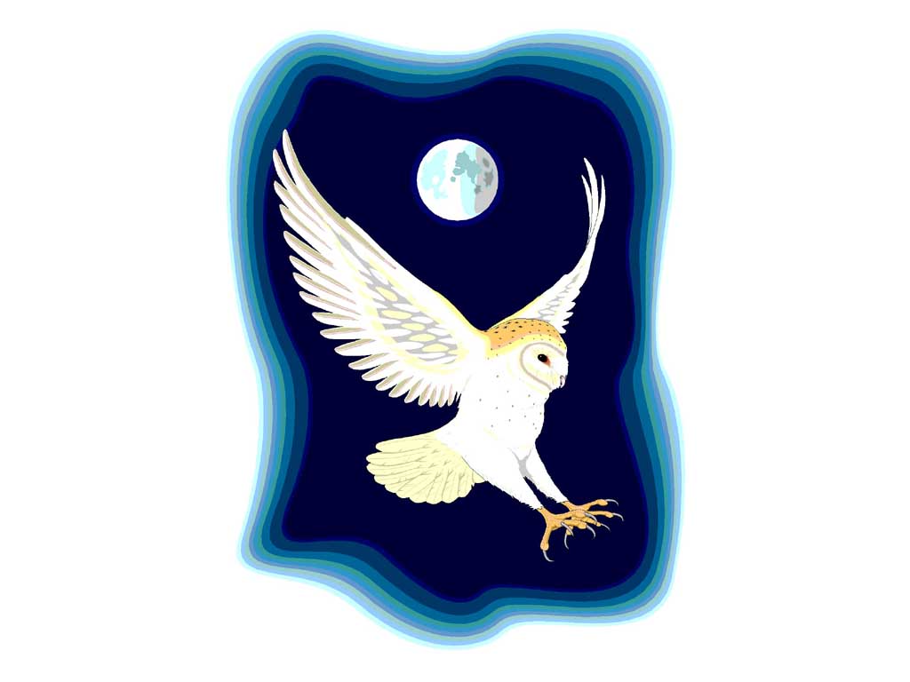 BARNOWL