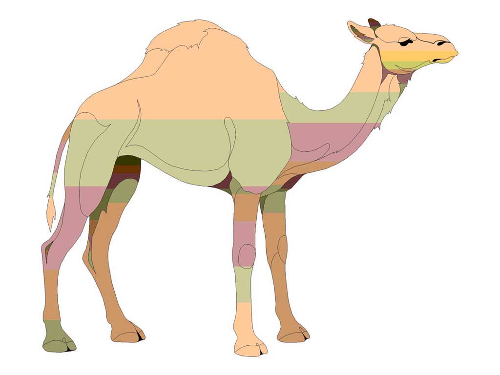 CAMEL1