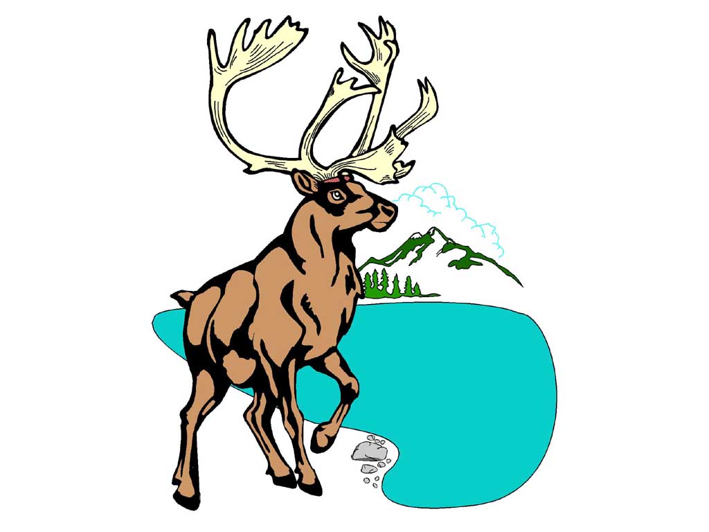CARIBOU