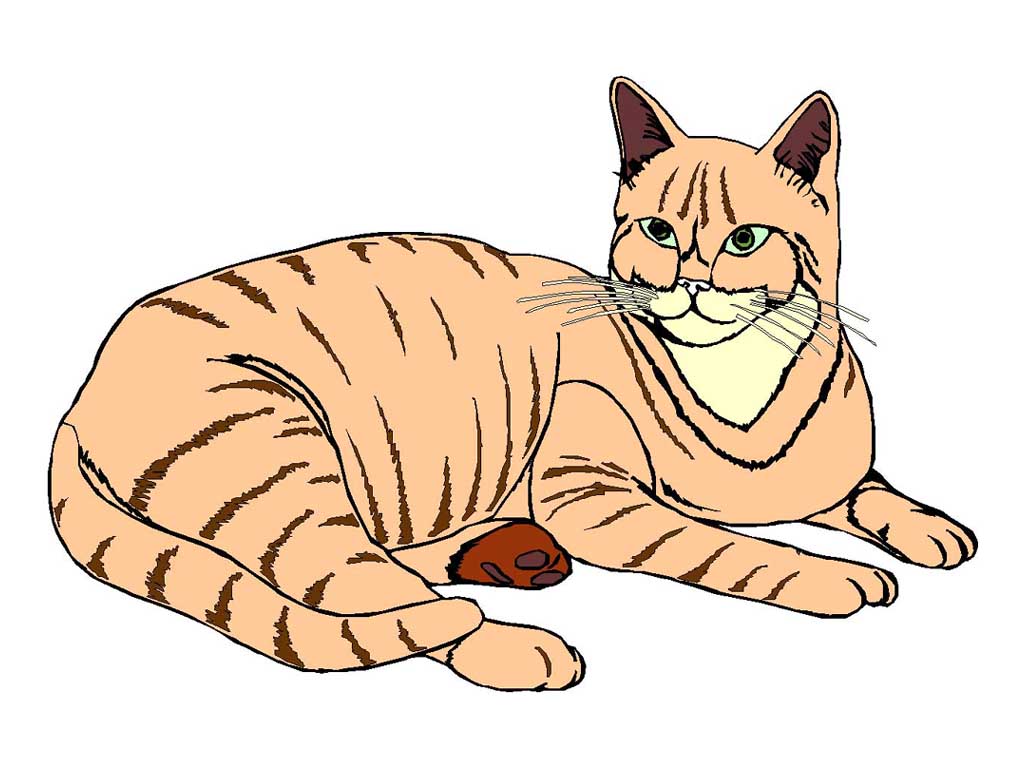 CAT001