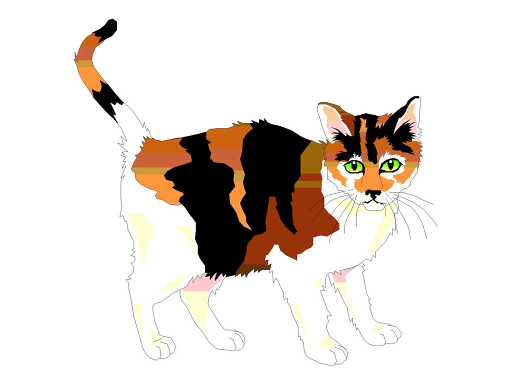 CAT3