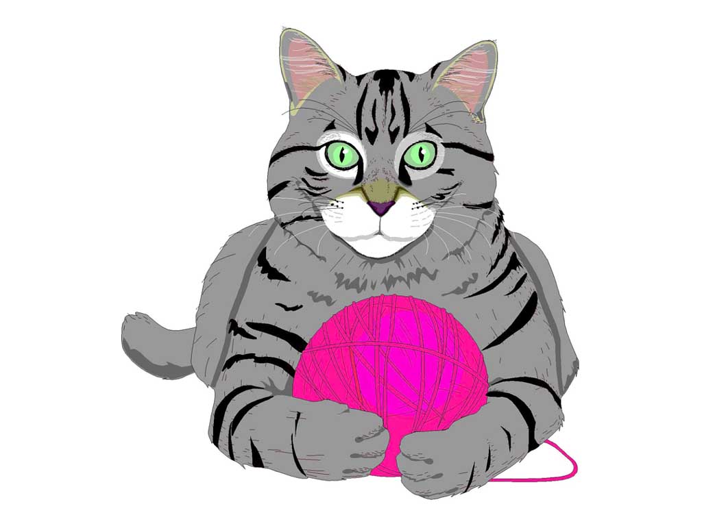 CAT_YARN