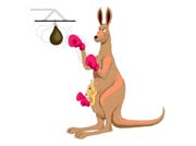 BOXKANGA