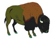 BUFFALO