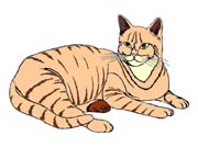 CAT001