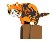 CAT2