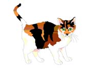 CAT3