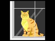 CAT_WIN
