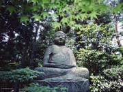 BUDDHA9991