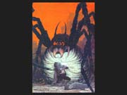 Shelob2