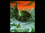 Shelob4