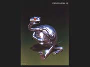 Anima002