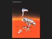 Anima003