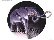 Anima013