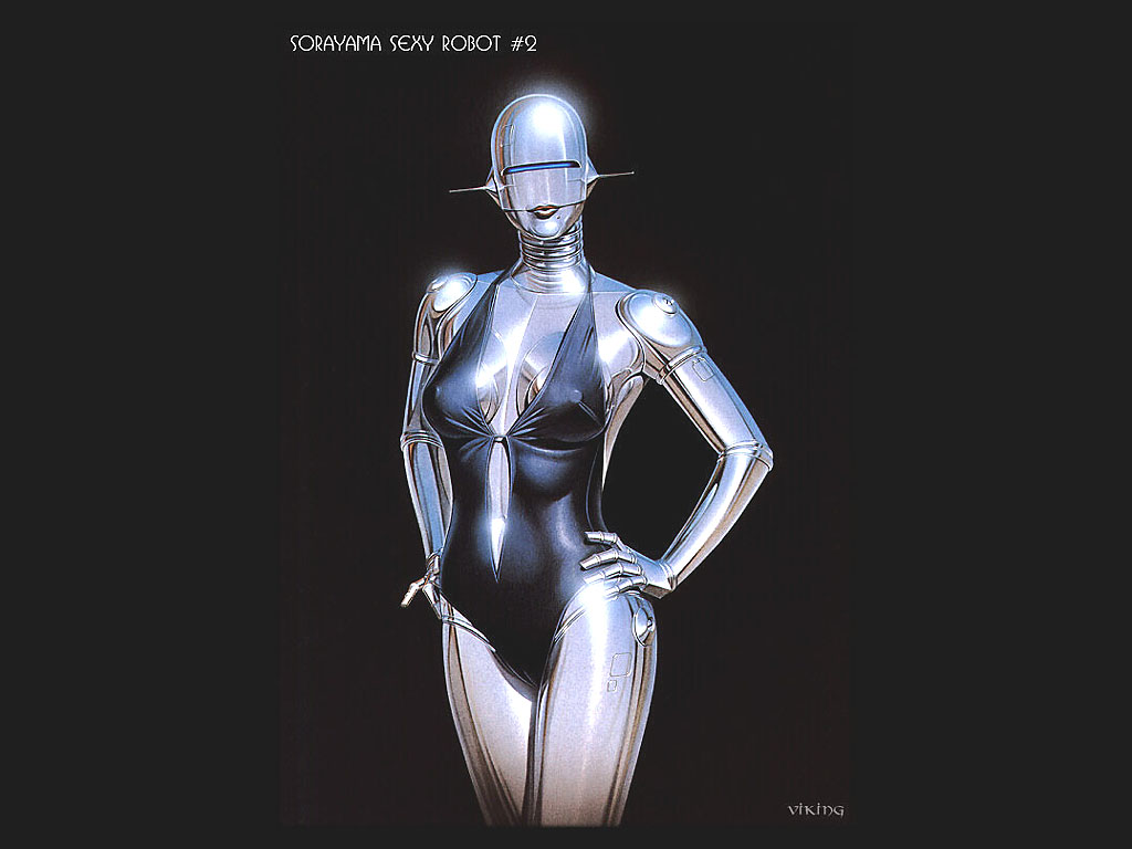Srobo002