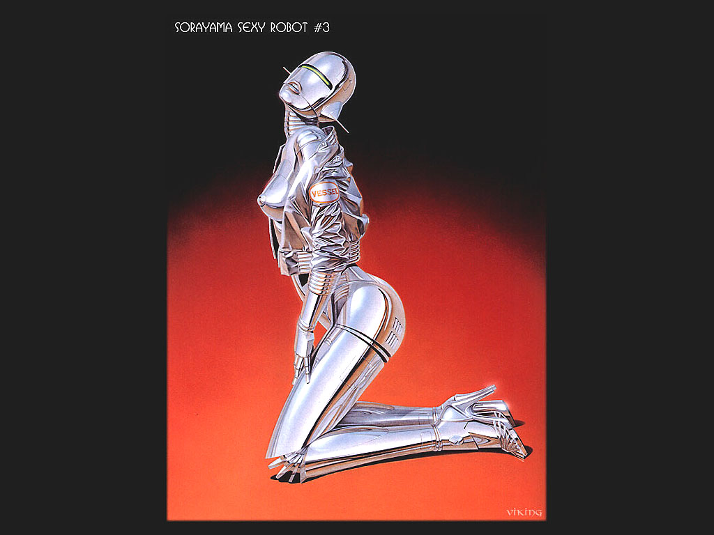 Srobo003