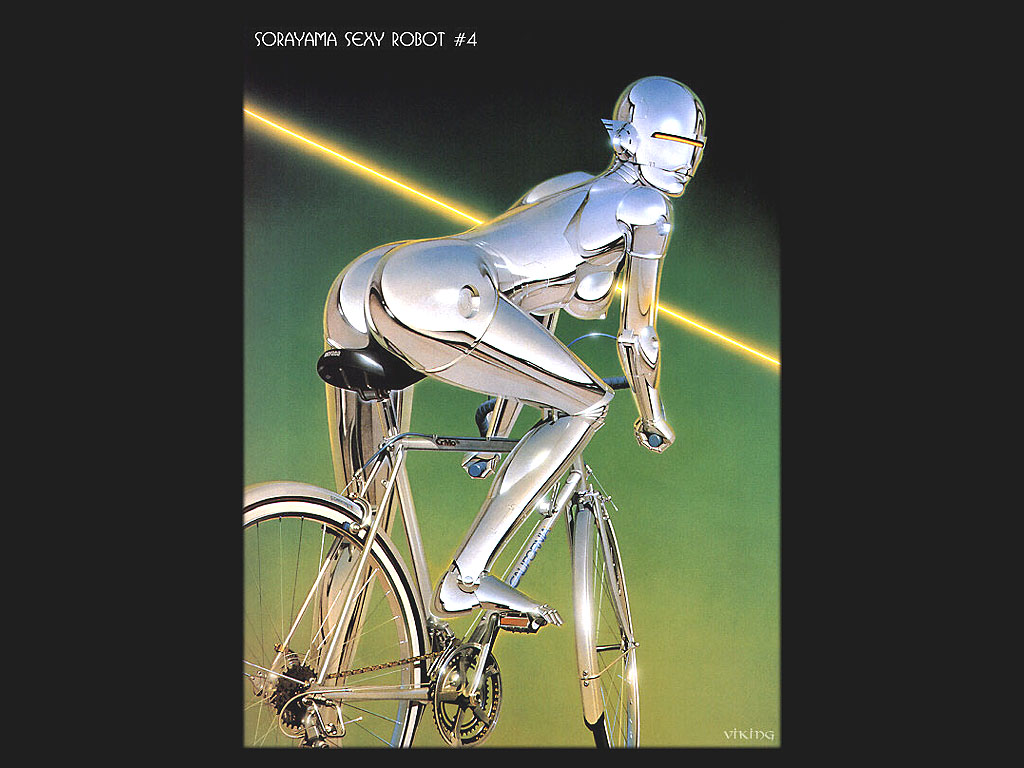 Srobo004