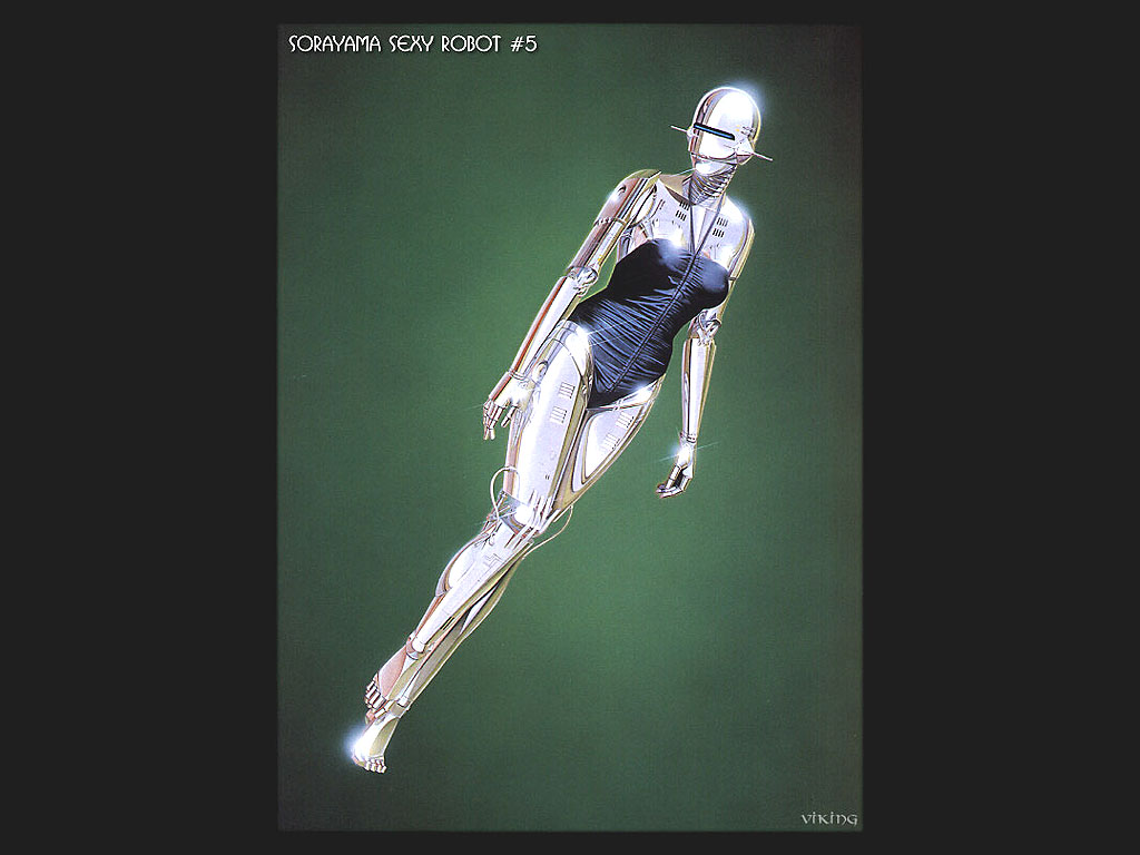 Srobo005