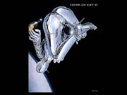 Srobo008