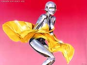 Srobo022