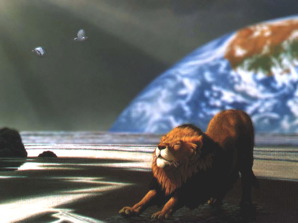 Animal05