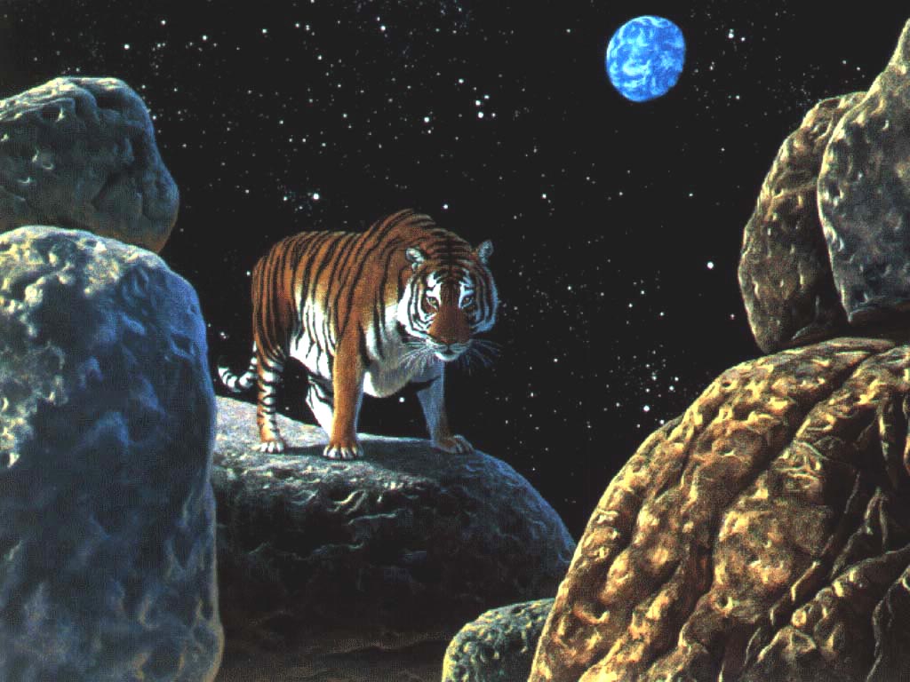 Animal08