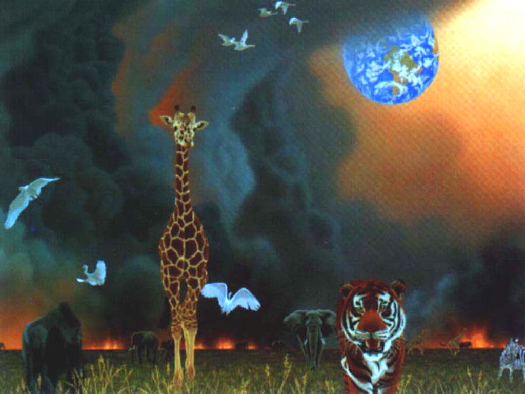 Animal09