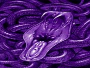 O_snakes
