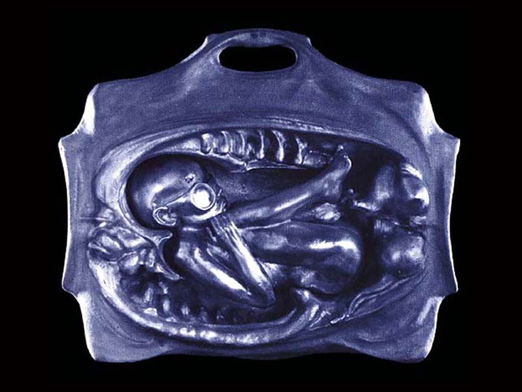 Hgiger03
