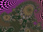 8LSWCBIO