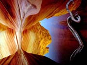 Canyon1