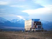 Truck_6