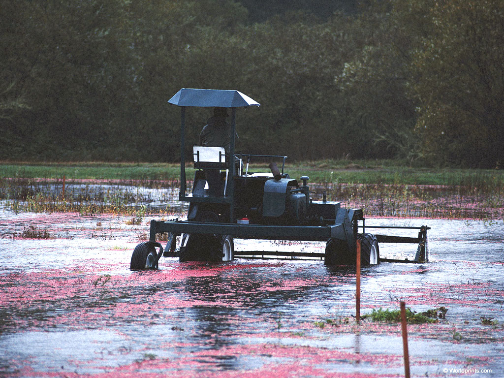 PLOW_3