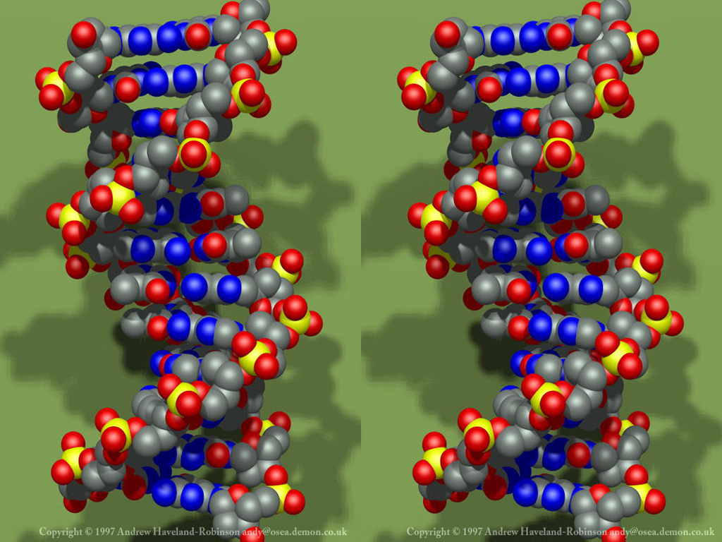 DNA-3D