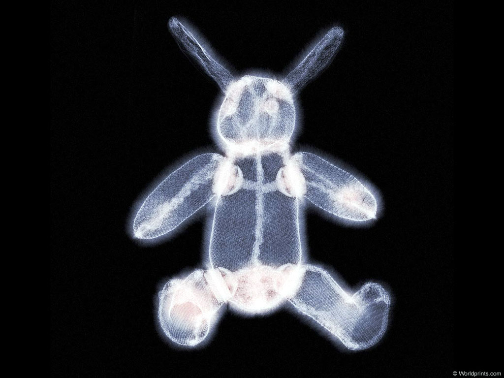 XRAY_T4