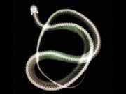 xray_snake2
