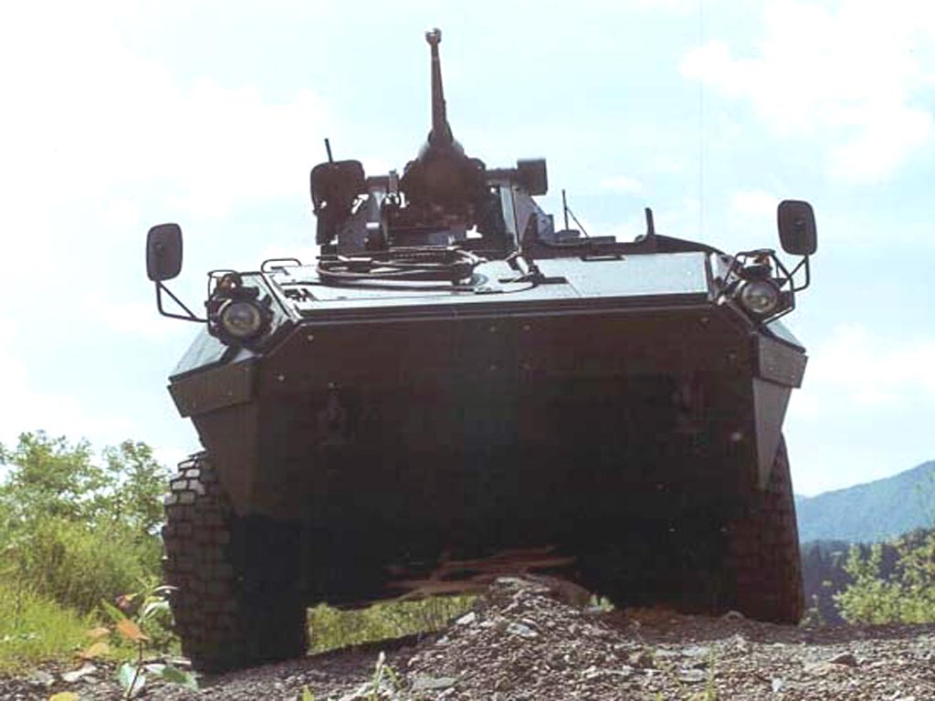Valuk_01